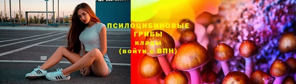 круглые Алексеевка