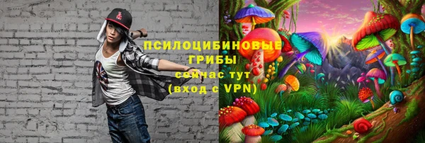 молекула духа Алексин