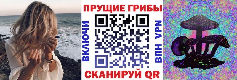Галлюциногенные грибы прущие грибы  купить   Приозерск 